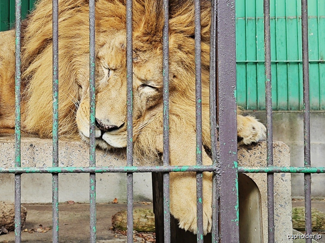 https://cupholder.jp/wp-content/uploads/2025/07/ZOO-Ebisu-1.jpg