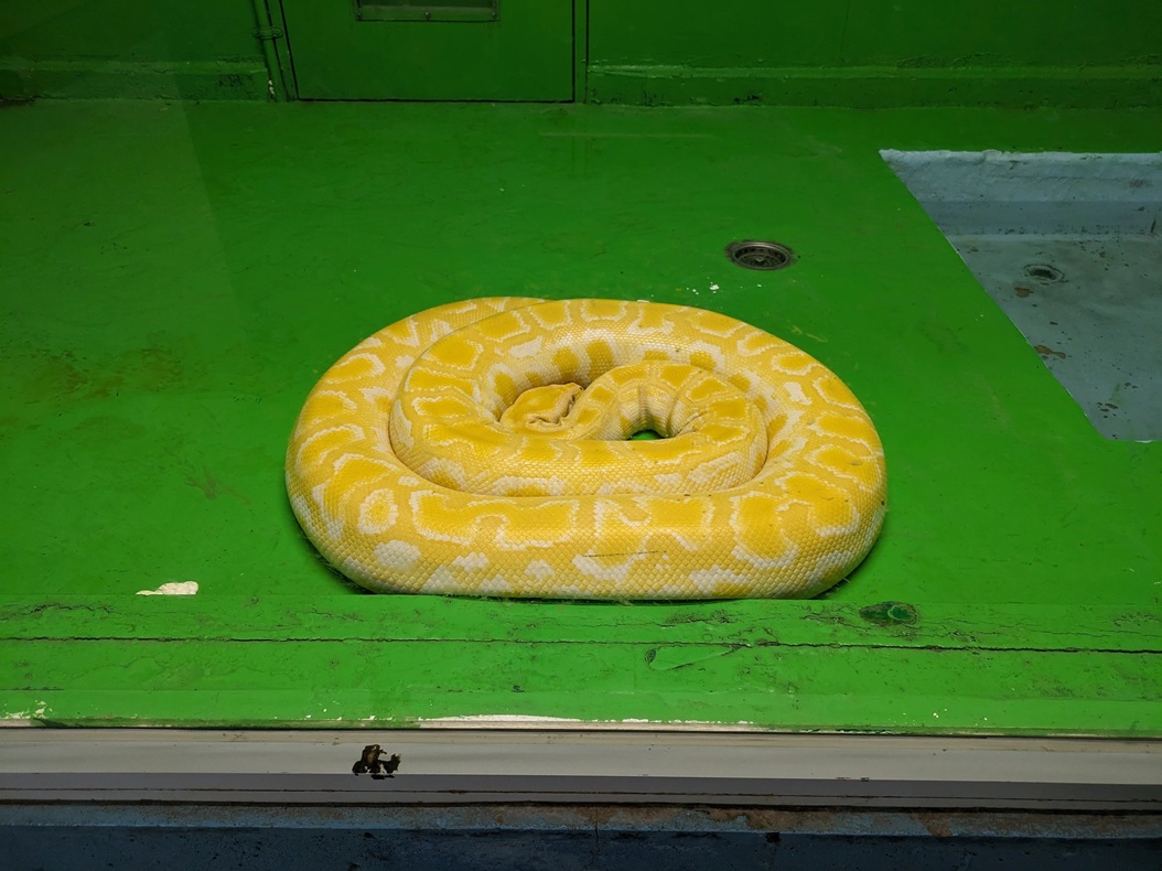 https://cupholder.jp/wp-content/uploads/2025/07/ZOO-Ebisu-2.jpg