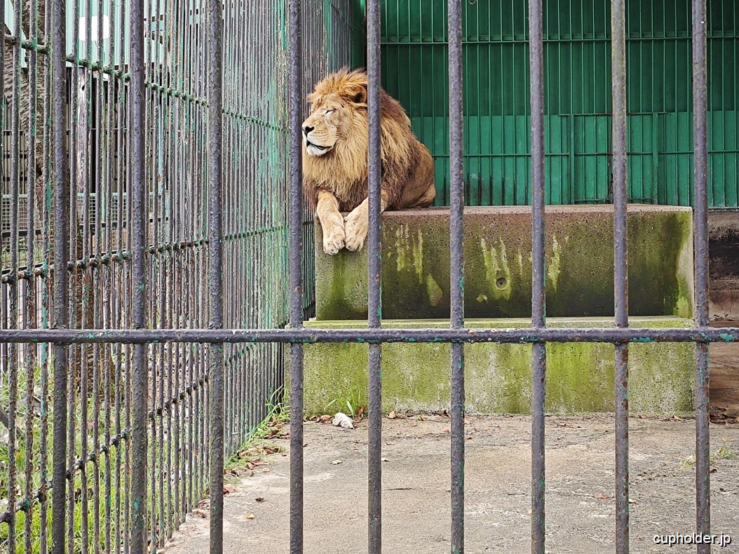 https://cupholder.jp/wp-content/uploads/2025/07/ZOO-Ebisu-3.jpg