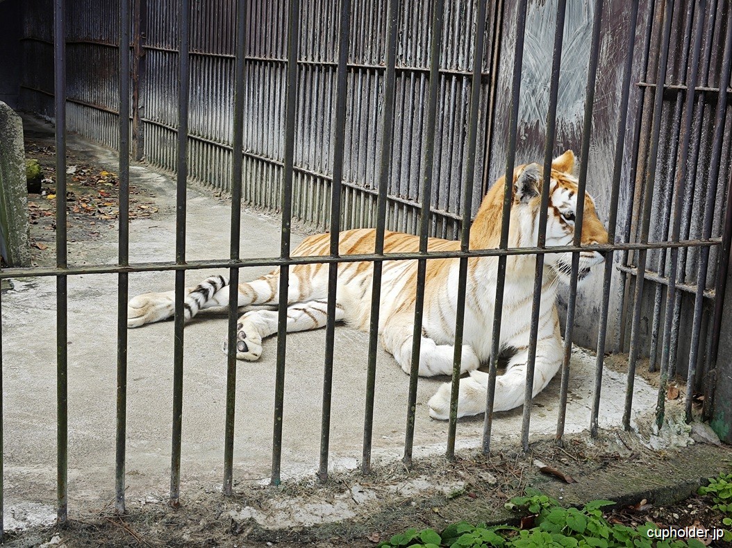 https://cupholder.jp/wp-content/uploads/2025/07/ZOO-Ebisu-4.jpg